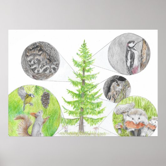 動植物 ポスター (正面)