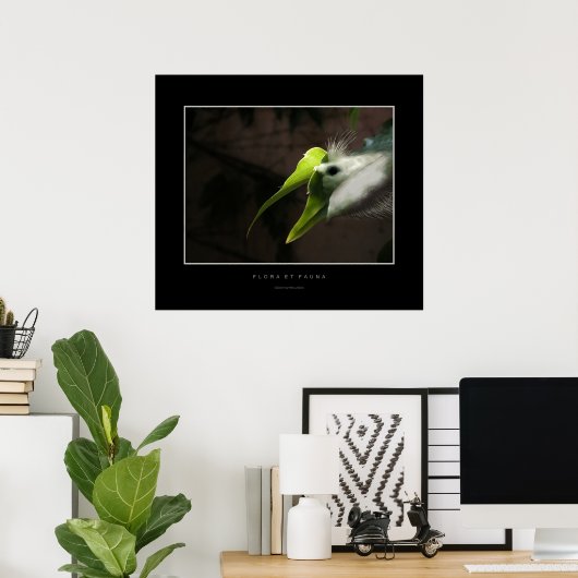 動植物 ポスター (ホームオフィス)