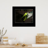 動植物 ポスター (キッチン)