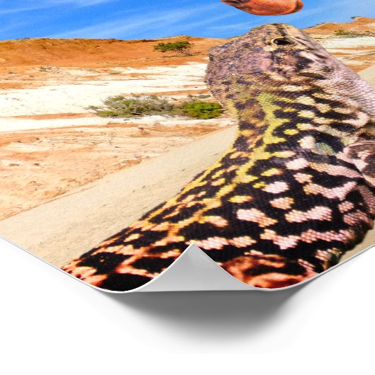 動物おもしろいのフォトモンタージュの愛は境界を知らない ポスター (角)