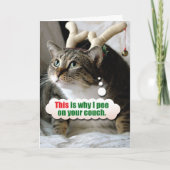 動物おもしろいのメリークリスマス – ソファの上でピー シーズンカード (正面)