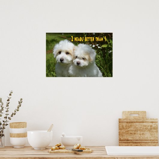 動物おもしろいミーム犬のミームユーモアのある写真 ポスター (キッチン)