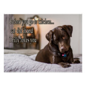 動物おもしろいミーム犬のミームユーモアのある写真 ポスター (正面)