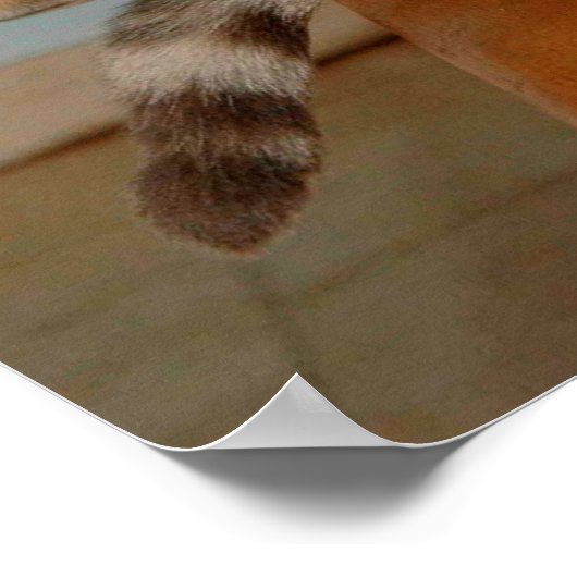 動物おもしろいミーム猫ミームユーモアのある写真 ポスター (角)