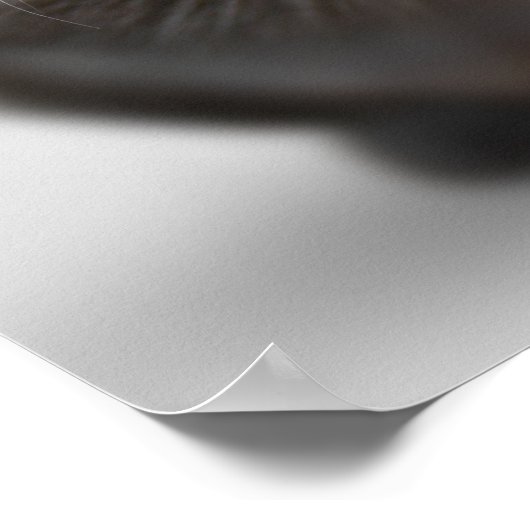 動物おもしろいミーム猫ミームユーモアのある写真 ポスター (角)