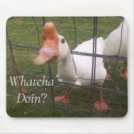 動物おもしろい写真マウスパッド マウスパッド