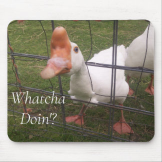 動物おもしろい写真マウスパッド マウスパッド