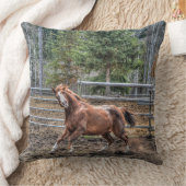 動物おもしろい好き向けHorse Photoウマ科のデザイン クッション (ブランケット)