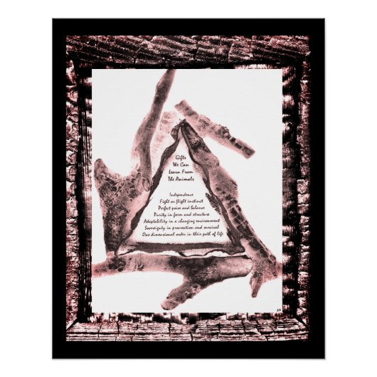 動物からの贈与 ポスター (正面)