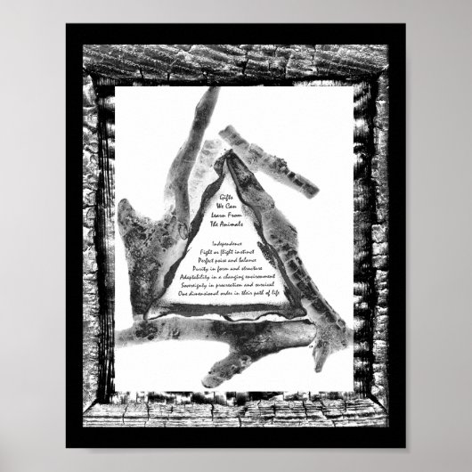 動物からの贈与 ポスター (正面)