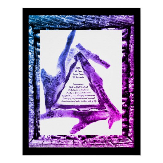 動物からの贈与 ポスター (正面)