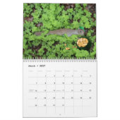 「動物たちがおもしろいを！"カレンダー カレンダー (3月 2027)