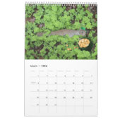 「動物たちがおもしろいを!"カレンダー カレンダー (3月 2026)