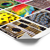 動物と昆虫の皮膚の羽の野生動物のパターン ポスター (角)