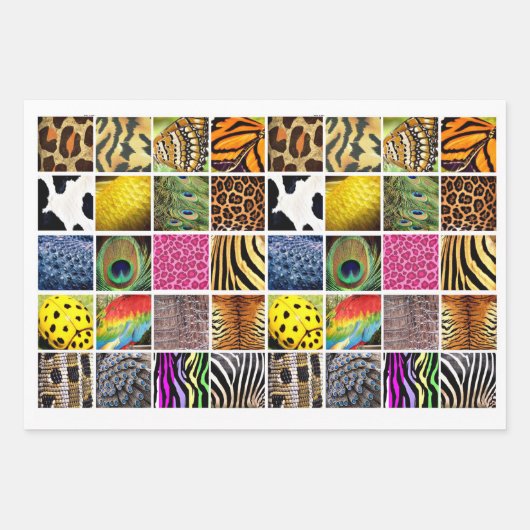 動物と昆虫の皮膚の羽の野生生物のパターン ラッピングペーパーシート (正面)