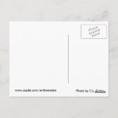 動物と話す ポストカード (裏面)