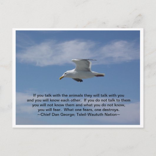 動物と話す ポストカード (正面)