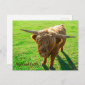 動物と農場の恋人のための高地牛の牛 シーズンポストカード (正面/裏面)