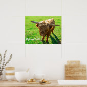 動物と農場の恋人のための高地牛の牛 ポスター (キッチン)