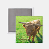 動物と農場の恋人のための高地牛の牛 マグネット (正面/裏面)