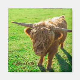 動物と農場の恋人のための高地牛の牛 マグネット