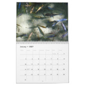 動物と野生動物の写真 12 か月 カレンダー (1月 2027)