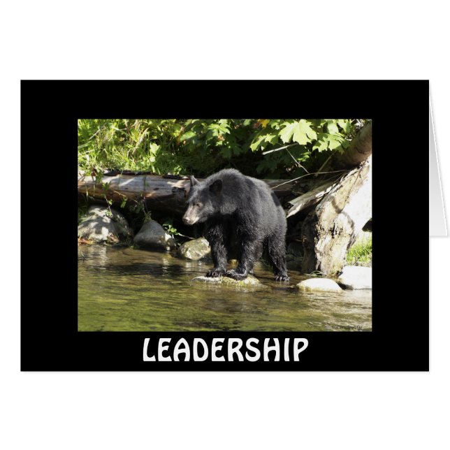 動物と野生動物の支援者のためのクマのデザイン (正面横)