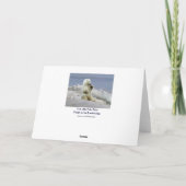 動物と野生動物の支援者のためのクマのデザイン カード (裏面)