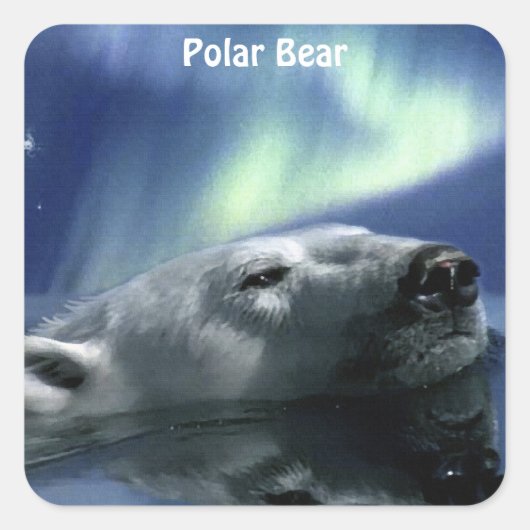 動物と野生動物の支援者のためのクマのデザイン スクエアシール (正面)