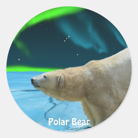 動物と野生動物の支援者のためのクマのデザイン ラウンドシール (正面)