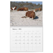 動物と野生動物の12ヶ月，第3版 カレンダー (2月 2026)