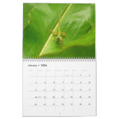 動物と野生動物の12ヶ月，第3版 カレンダー (1月 2026)