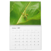 動物と野生動物の12ヶ月，第3版 カレンダー (1月 2027)