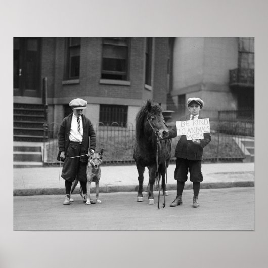 動物に優しくしなさい週間， 1923.ヴィンテージ写真 ポスター (正面)