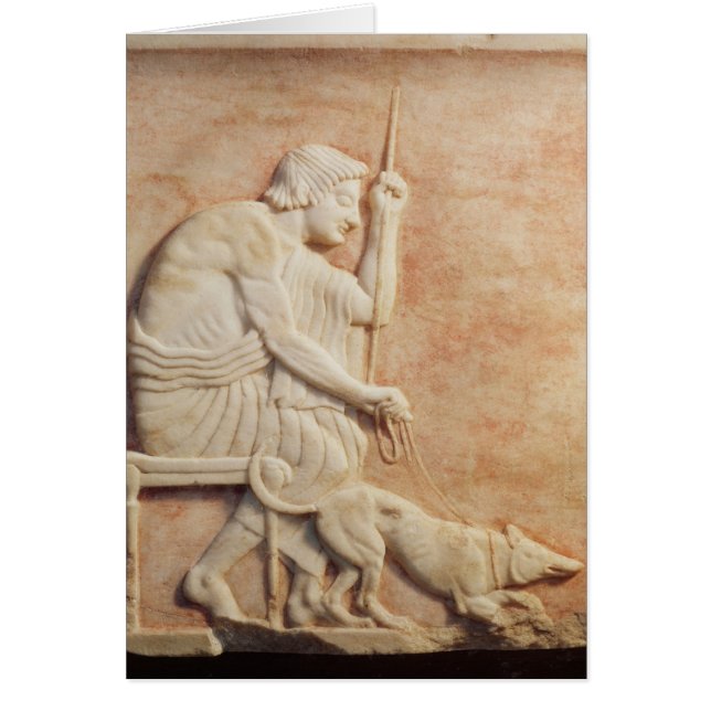 動物に悩ますこと (正面)