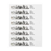 動物のかわいいアートユニコーン象ライオン動物園 ラップアラウンド宛名ラベル (シート)