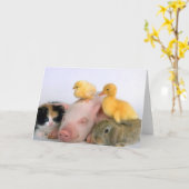 動物のための昼寝の時間 カード (黄色い花)