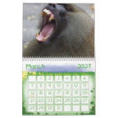 動物のカレンダー20 カレンダー (3月 2027)