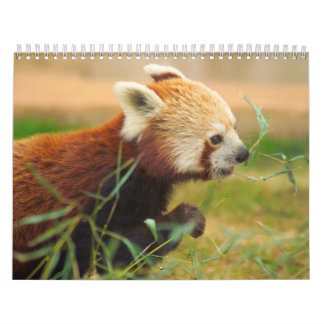 動物のカレンダー20 カレンダー