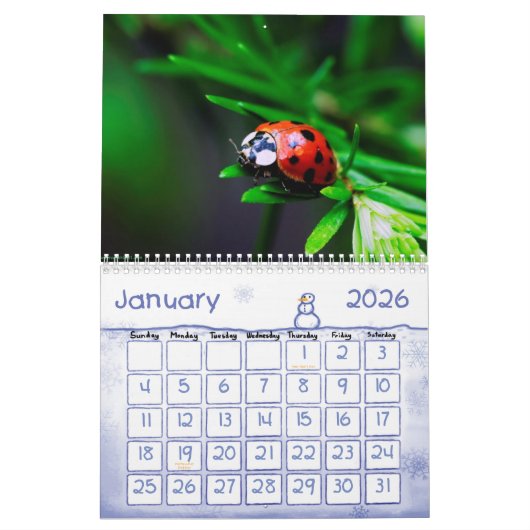 動物のカレンダー5 カレンダー (1月 2026)