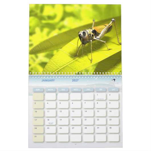 動物のカレンダー8 カレンダー (1月 2027)