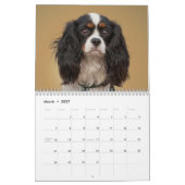 動物のカレンダー カレンダー (3月 2027)