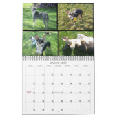 動物のカレンダー カレンダー (3月 2027)