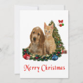 動物のクリスマスカード シーズンカード (正面)