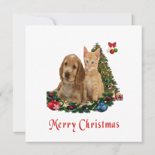 動物のクリスマスカード シーズンカード (正面)