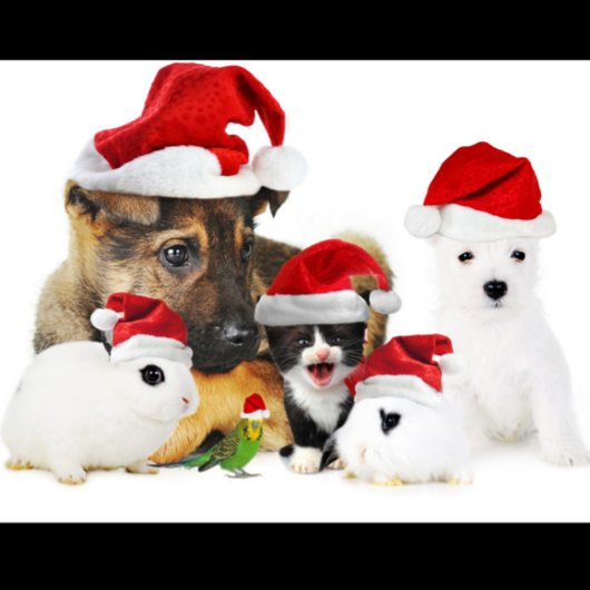 動物のクリスマス Tシャツ