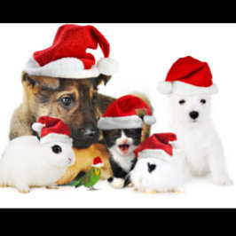 動物のクリスマス Tシャツ