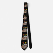 動物のスカル、サボテン、花、かわいいクモ