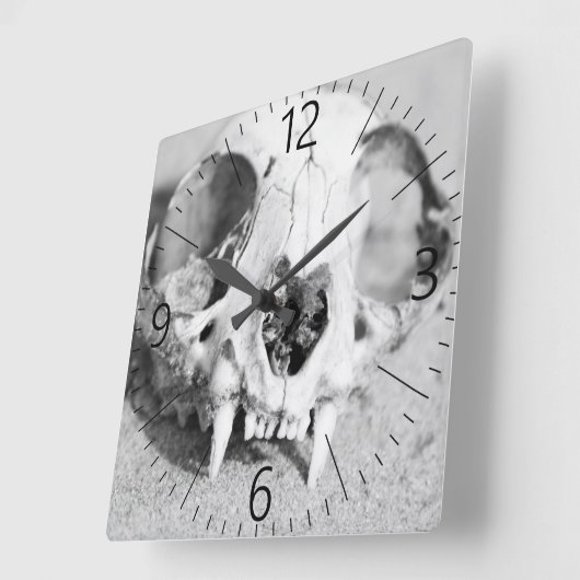 動物のスカル スクエア壁時計 (傾斜)