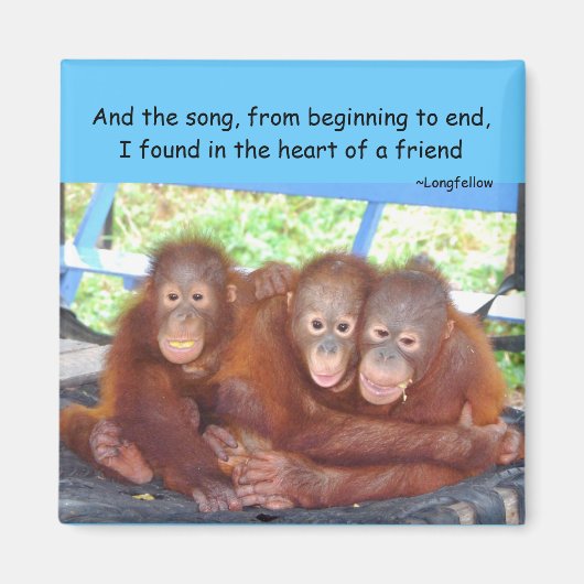 動物のベビーの友情3ない群集 マグネット (正面)